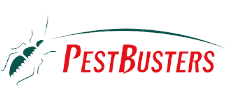Pest but
